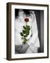 The Bride-Nathan Wright-Framed Photographic Print