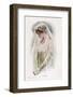The Bride-Harrison Fisher-Framed Photographic Print