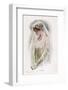 The Bride-Harrison Fisher-Framed Photographic Print