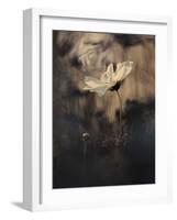 The Bride-Fabien BRAVIN-Framed Giclee Print