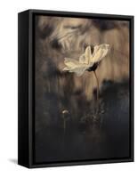 The Bride-Fabien BRAVIN-Framed Stretched Canvas