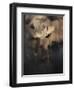 The Bride-Fabien BRAVIN-Framed Giclee Print