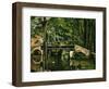 The Bridge at Maincy, Near Melun, 1879-Paul Cézanne-Framed Premium Giclee Print