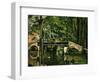 The Bridge at Maincy, Near Melun, 1879-Paul Cézanne-Framed Premium Giclee Print