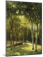 The Bridge in the Park-George W. Waters-Mounted Giclee Print