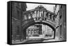 The Bridge of Sighs, Hertford College, Oxford University, Oxford, Early 20th Century-null-Framed Stretched Canvas