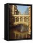 The Bridge of Sighs, St. John's College, Cambridge, Cambridgeshire, England, UK-Christina Gascoigne-Framed Stretched Canvas