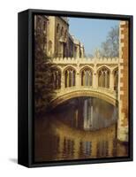 The Bridge of Sighs, St. John's College, Cambridge, Cambridgeshire, England, UK-Christina Gascoigne-Framed Stretched Canvas
