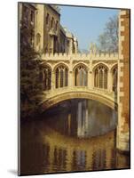 The Bridge of Sighs, St. John's College, Cambridge, Cambridgeshire, England, UK-Christina Gascoigne-Mounted Photographic Print