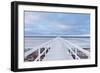 The Bridge-Jacek Oleksinski-Framed Giclee Print