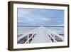 The Bridge-Jacek Oleksinski-Framed Giclee Print