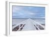 The Bridge-Jacek Oleksinski-Framed Giclee Print