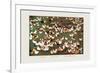 The Brigade's Chicken Farm-Ma Ya-li-Framed Art Print