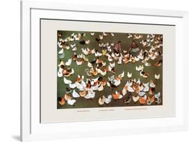 The Brigade's Chicken Farm-Ma Ya-li-Framed Premium Giclee Print