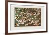 The Brigade's Chicken Farm-Ma Ya-li-Framed Premium Giclee Print