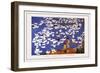 The Brigade's Ducks-Li Chen-hua-Framed Premium Giclee Print