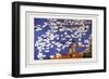 The Brigade's Ducks-Li Chen-hua-Framed Premium Giclee Print