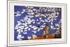 The Brigade's Ducks-Li Chen-hua-Mounted Art Print