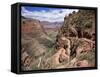 The Bright Angel Trail, Beneath the South Rim, Grand Canyon National Park, Arizona, USA-Ruth Tomlinson-Framed Stretched Canvas