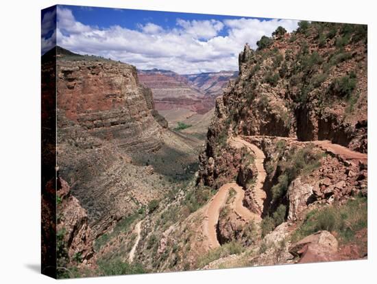 The Bright Angel Trail, Beneath the South Rim, Grand Canyon National Park, Arizona, USA-Ruth Tomlinson-Stretched Canvas