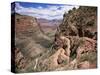 The Bright Angel Trail, Beneath the South Rim, Grand Canyon National Park, Arizona, USA-Ruth Tomlinson-Stretched Canvas