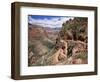 The Bright Angel Trail, Beneath the South Rim, Grand Canyon National Park, Arizona, USA-Ruth Tomlinson-Framed Photographic Print