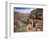 The Bright Angel Trail, Beneath the South Rim, Grand Canyon National Park, Arizona, USA-Ruth Tomlinson-Framed Photographic Print