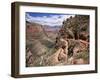 The Bright Angel Trail, Beneath the South Rim, Grand Canyon National Park, Arizona, USA-Ruth Tomlinson-Framed Photographic Print