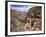 The Bright Angel Trail, Beneath the South Rim, Grand Canyon National Park, Arizona, USA-Ruth Tomlinson-Framed Photographic Print