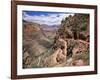 The Bright Angel Trail, Beneath the South Rim, Grand Canyon National Park, Arizona, USA-Ruth Tomlinson-Framed Photographic Print