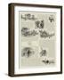 The Brighton Road-Charles Joseph Staniland-Framed Giclee Print