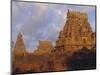 The Brihadeshwara (Brihadishwara) Temple, Built in 1000 AD, at Tanjore, Tamil Nadu, India-David Beatty-Mounted Photographic Print