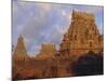 The Brihadeshwara (Brihadishwara) Temple, Built in 1000 AD, at Tanjore, Tamil Nadu, India-David Beatty-Mounted Photographic Print