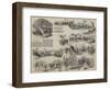 The British Army on the Punjaub-null-Framed Giclee Print