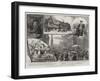 The British Association at Birmingham-null-Framed Giclee Print