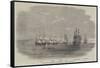 The British Fleet Lying in the Roadstead of Beyrout-null-Framed Stretched Canvas