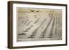 The British Fleet - Spithead, 1914-null-Framed Art Print