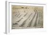 The British Fleet - Spithead, 1914-null-Framed Art Print