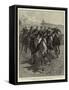 The British in Egypt, a Camel Race-John Charlton-Framed Stretched Canvas