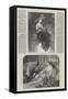 The British Institution-James Sant-Framed Stretched Canvas