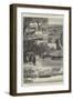 The British South Africa Company's Expedition to Mashonaland-null-Framed Giclee Print