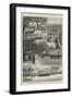 The British South Africa Company's Expedition to Mashonaland-null-Framed Giclee Print