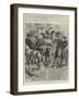 The British Squadron in China-John Charlton-Framed Giclee Print