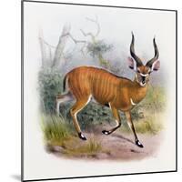 The Broad Horned Antelope, from 'The Book of Antelopes'-Wolf & Smit-Mounted Giclee Print