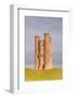 The Broadway Tower on the Edge of the Cotswolds, Worcestershire, England, United Kingdom, Europe-Julian Elliott-Framed Photographic Print