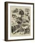 The Broncho Horses at the Royal Aquarium-Charles Burton Barber-Framed Giclee Print