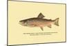 The Brook Trout, Showing Bright or Early Fall Coloration-H.h. Leonard-Mounted Art Print