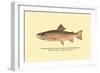 The Brook Trout, Showing Bright or Early Fall Coloration-H.h. Leonard-Framed Art Print