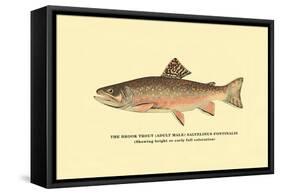 The Brook Trout, Showing Bright or Early Fall Coloration-H.h. Leonard-Framed Stretched Canvas