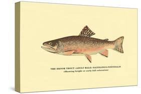 The Brook Trout, Showing Bright or Early Fall Coloration-H.h. Leonard-Stretched Canvas